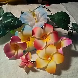 Meet your Posher, Nica